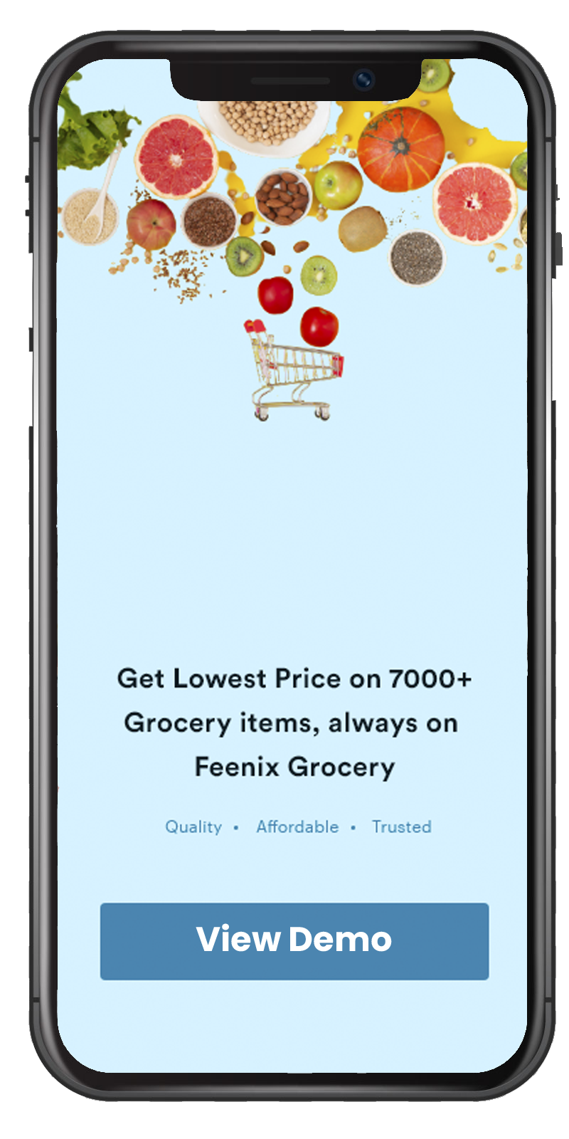 grocerydeliverydemo